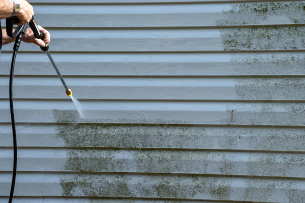Best Garage Cleanout  in Galeville, NY